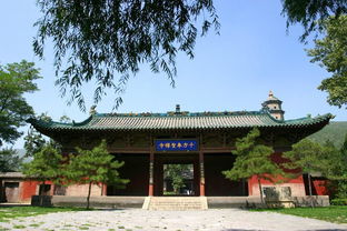 清闲的意思，清门柳古诗