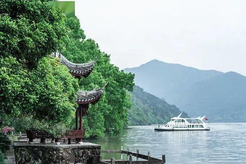 负势竞上,互相轩邈。争高直指,千百成峰。赏析