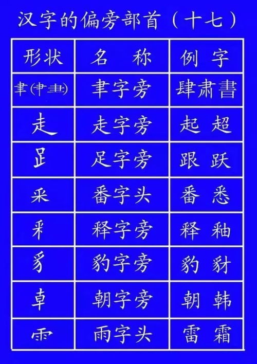 们字笔顺笔画