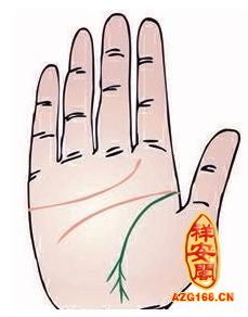 分叉怎么解释