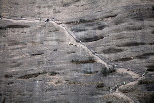 猿猱道怎么读，猿猱欲度愁攀援上一句是什么