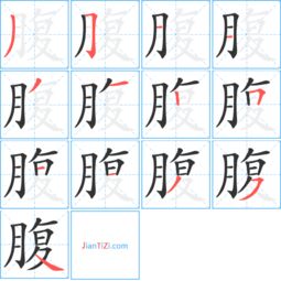腹组词,谢谢。