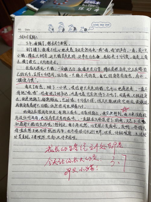 初中作文400字周记素材大全