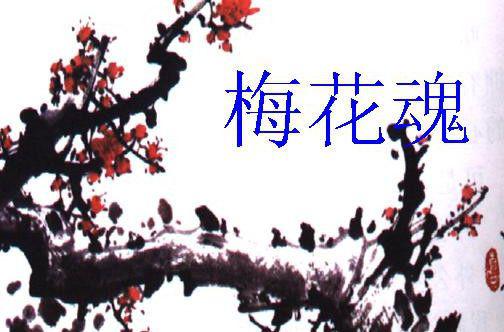 梅花魂写作背景作者的外祖父为何不会国，梅花魂写作背景一句话