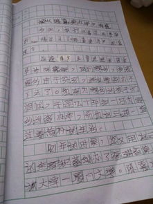 关于清明节作文500字，关于清明节作文500字优秀作文