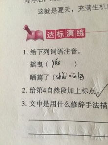 曳的拼音和词语，屣的拼音