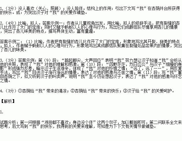 杏荫井台主题思想，杏井酒庄