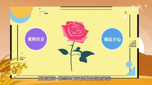 various是什么意思