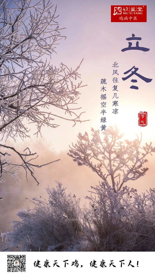 日语分类词汇:二十四节气