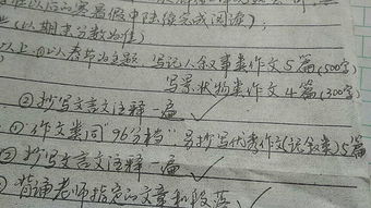关于过年的作文500字初一，关于过年的作文500字左右2023年