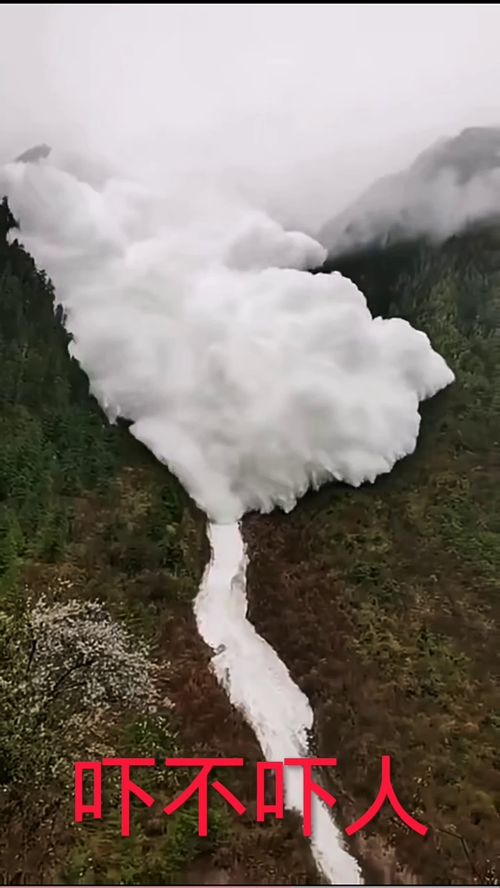 大自然的力量怎么形容，大自然的力量是不可抗拒的