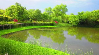 草满池塘水满陂全诗，草满池塘水满陂中的陂读作