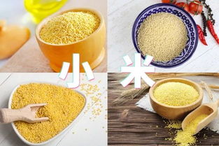 一粒米有多重 大米类型