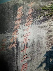 这是什么字?