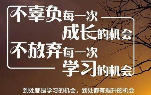 奋斗努力的激励语言