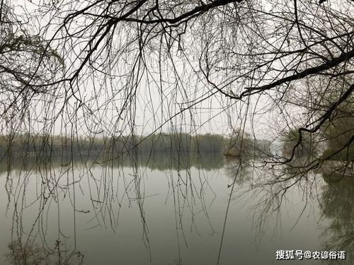 生而皓首是什么意思，青丝皓首是什么意思
