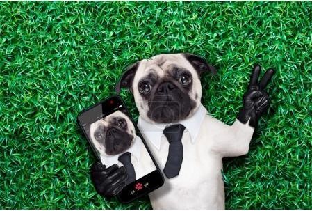 网络中现在流行的PUG是什么意思?