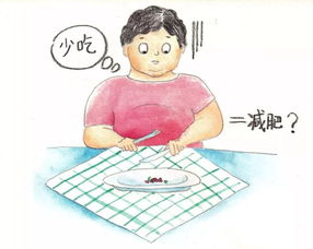 网络节食是什么意思，信息节食是什么意思