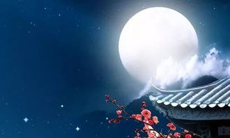 明月何皎皎, 照我罗床纬。 是谁所作?