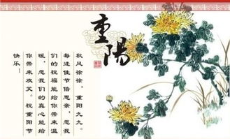 重阳节的资料有哪些?