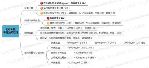什么叫随访?有什么意义?