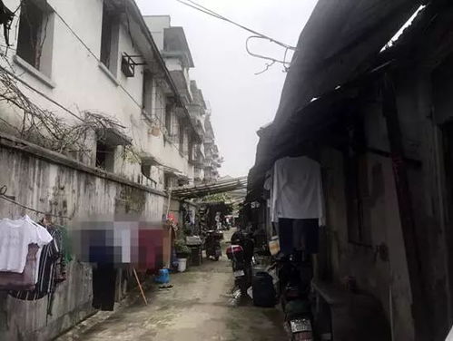 草马组合为什么叫草马，草马蟹图片