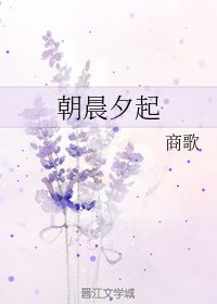 晨夕是什么意思网名，女孩叫晨夕寓意好吗