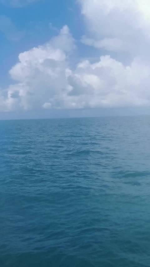 海蓝宝，海蓝之家
