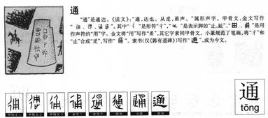 有什么通组词的