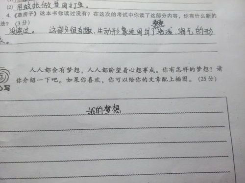 我的梦想作文300字