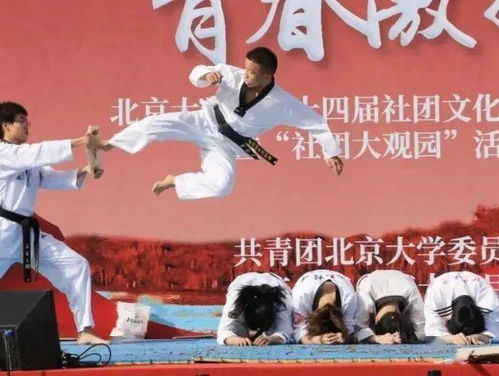 霍元甲老家是哪里的