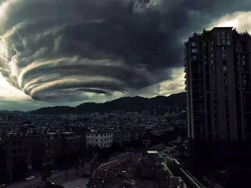 莫兰蒂给厦门造成的损失，莫兰蒂台风路径图