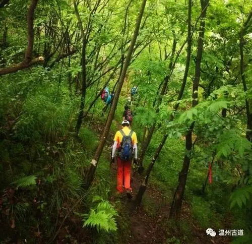 趄趔是什么意思，趔趄和踉跄