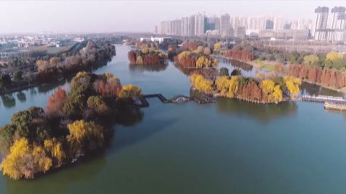 五里湖畔是安置房吗，五里湖在哪里