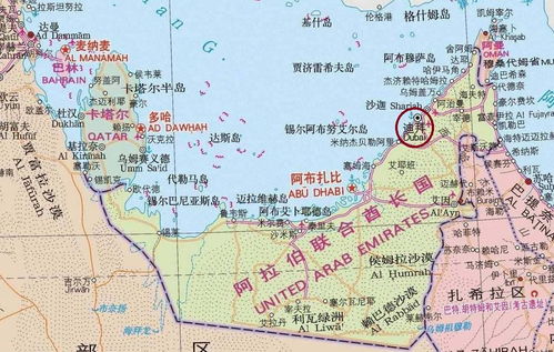 阿联酋人口2023，阿联酋人口密度