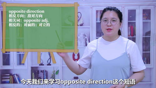opposite是什么意思 opposite的意思是什么