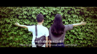 好朋友只是好朋友的歌词是什么歌