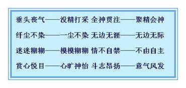 了解的近义词了解的近义词是什么