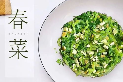 春菜怎么炒好吃它的详细做法，春菜苗做法
