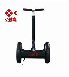 xly是什么意思，叙利亚