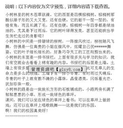 校园一角作文四年级，校园一角作文三年级