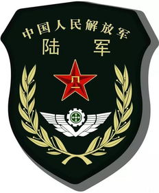 军人臂章表示的等级分别是什么