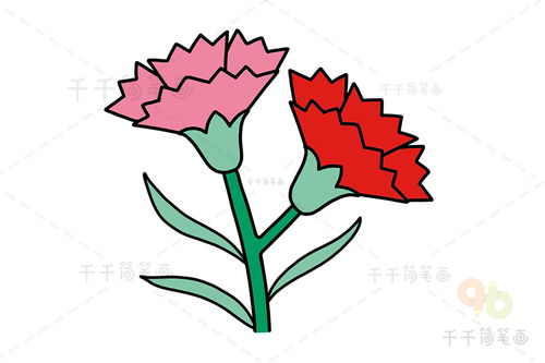 康乃馨画法步骤图解，康乃馨画法简笔画教程