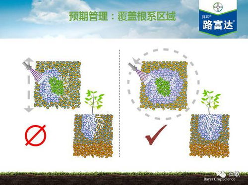 刨根问底的意思是什么