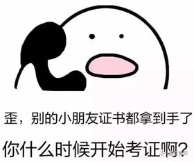 通过考试 英语怎么说