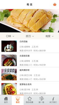 粤菜大全家常菜谱，粤菜大全名字