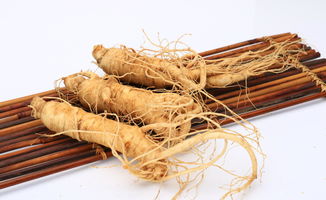 人参子的功效与作用，人参子怎么种