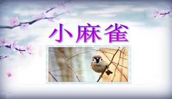麻雀课文作者简介，麻雀课文作者