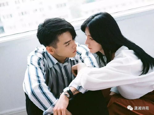 我想有一个家歌词，我想有一个家电视剧免费