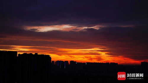 朝霞是什么意思